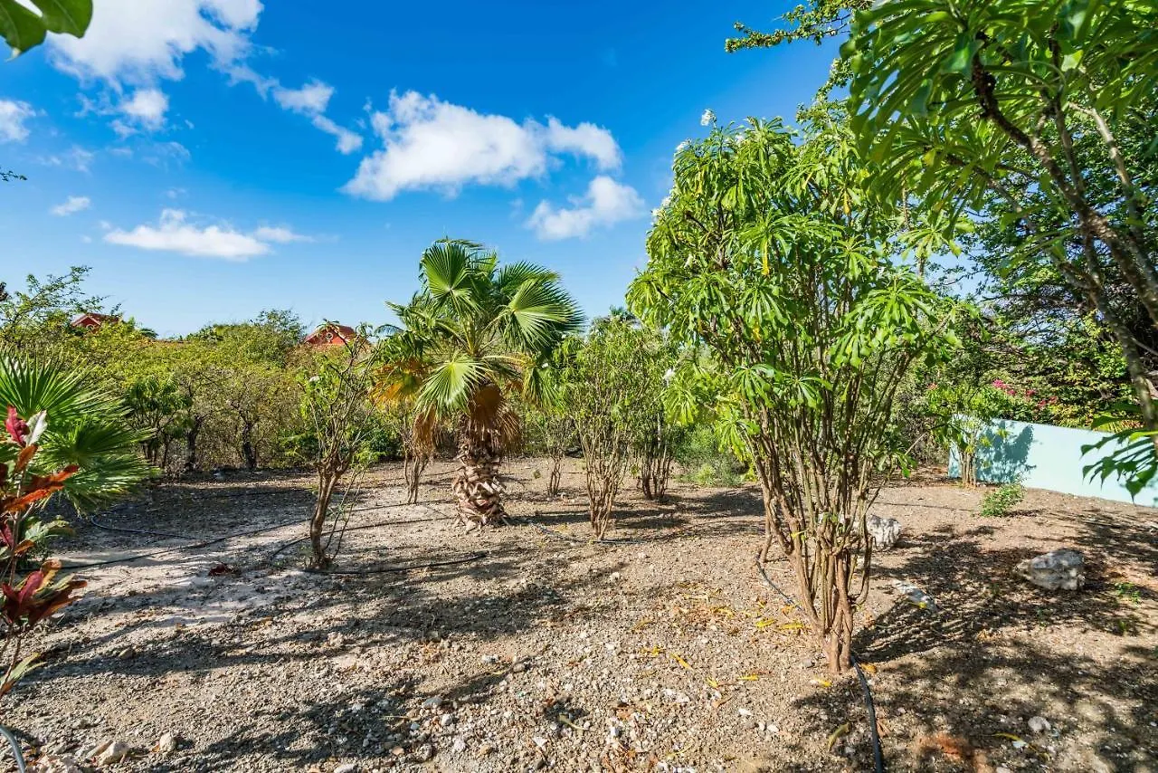 Σπίτι διακοπών Villa 705 Coral Estate Willibrordus